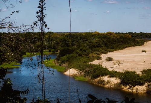 Cerrado landscape with river and dry land